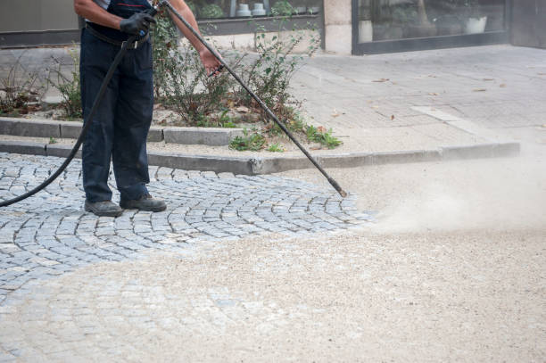 Best Sidewalk and Walkway Cleaning  in Clearwater, MN