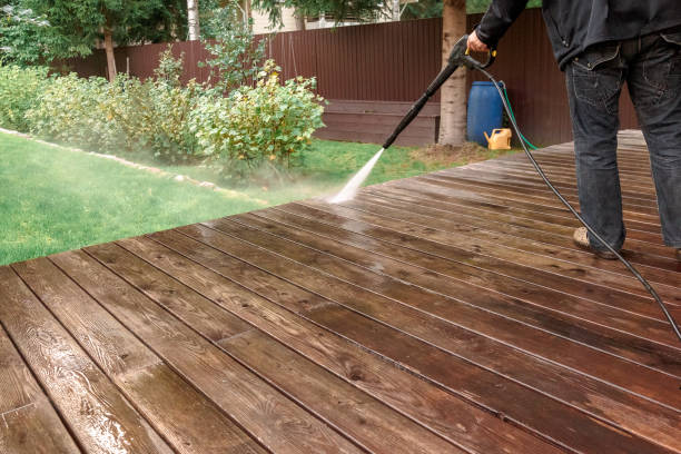 Best Animal Enclosure Cleaning  in Clearwater, MN