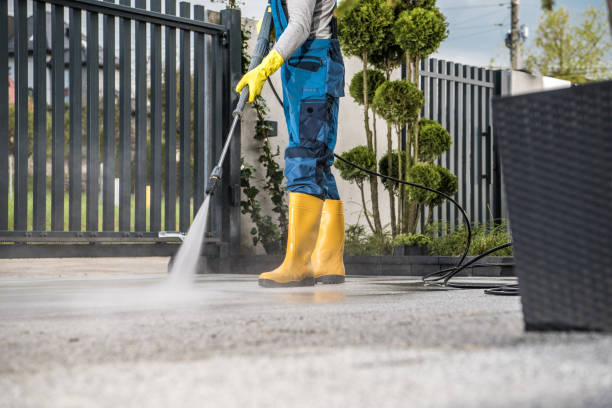 Best House Exterior Washing  in Clearwater, MN